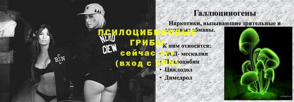 прущий лед Аркадак