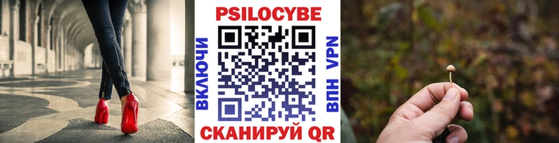 Псилоцибиновые грибы GOLDEN TEACHER  цены наркотик  Малаховка 
